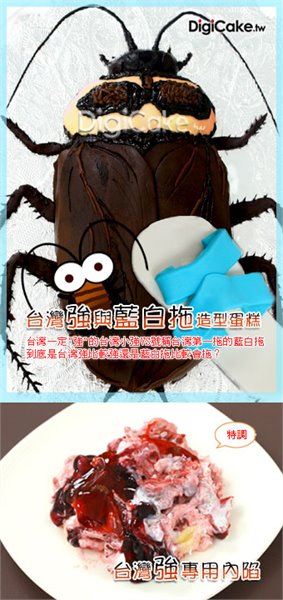 台灣強大戰藍白拖