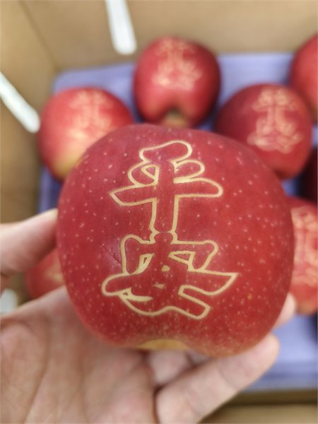 商品縮圖