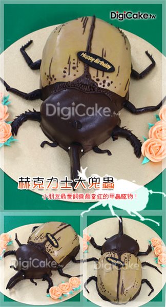 赫克力士大兜蟲